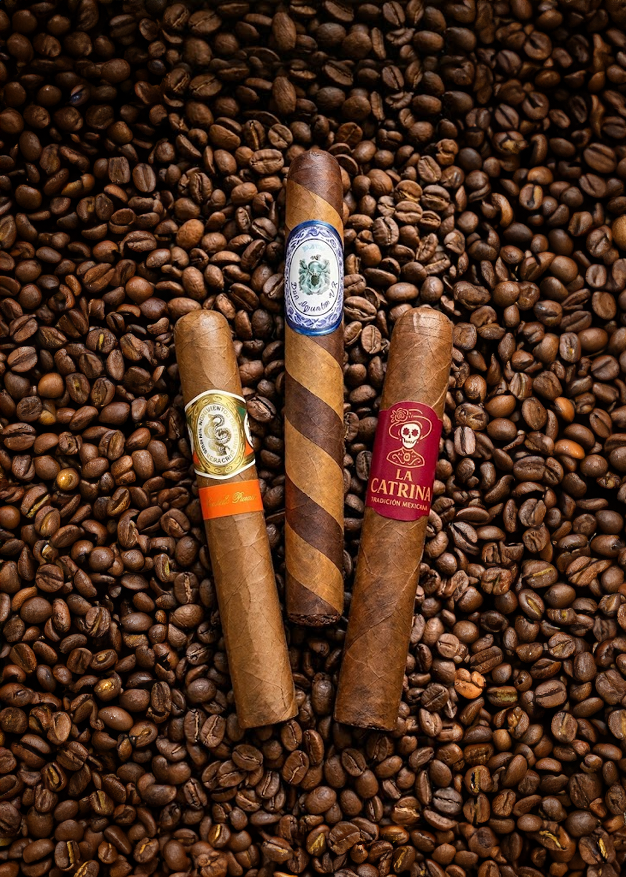 Selección de Abril | Puros Mexicanos Artesanales Curados