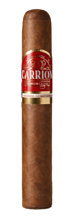 Carrion Sumatra