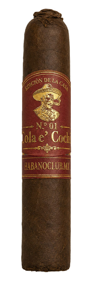 Tamaño real de N.º 01 - Cola e´Cochi