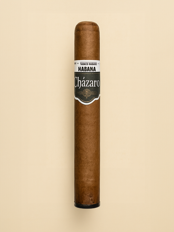 Puro mexicano Habana Petit Corona con tabaco San Andrés de Cházaro ideal para principiantes